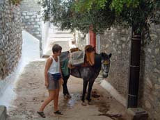 Nat et un compagnon à Hydra