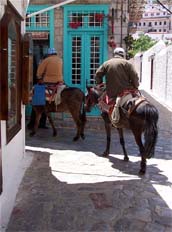 le transport à dos d'ânes