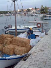 transport de paille pour animaux sur barque
