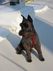 bain de soleil pour sam