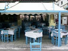 les "octopus" reposent sur la terrasse