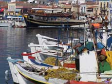 les barques de pêche au port