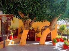 la terrasse orange