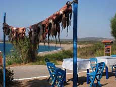 restaurant à Plimiri