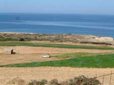 les champs cultivés de Naxos