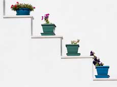 pots de fleurs sur façade blanche