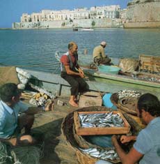 pêcheurs de Galipoli
