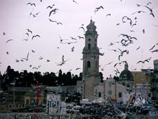 Santa Maria di Loret