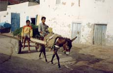 charette et mulet à Sfax