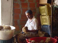 tailleur d'éponges à Sfax