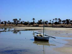 la mer se retire aux Kerkennah